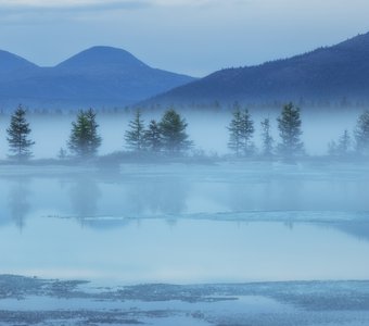 Колымские туманы