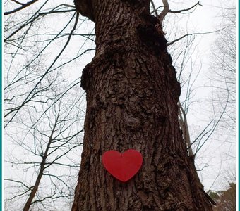 И у деревьев есть сердца
