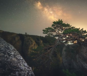 Цепляясь ветками за скалу и звёзды