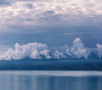 Нежность утра