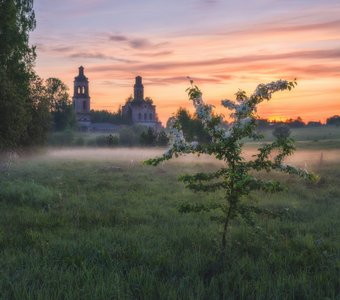 В Пантыле яблони цветут