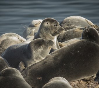 Жизнь удалась