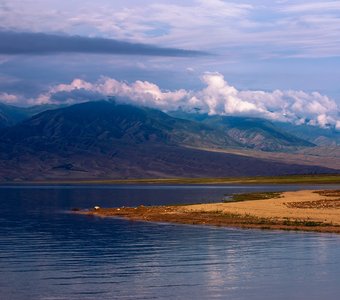 Нежность утра