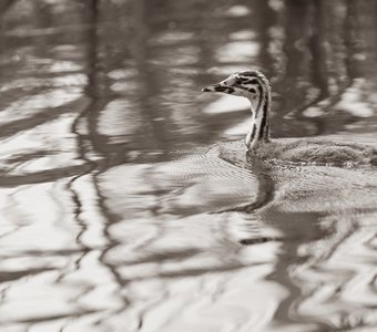 В абстракциях