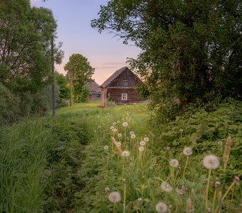 Деревенские прогулки