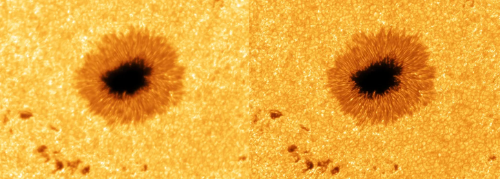Фото: R. Kamlah et al. 2025