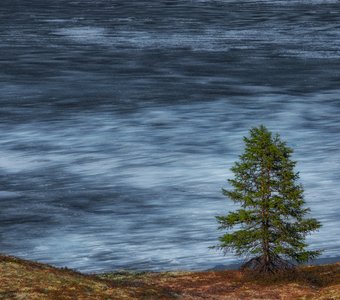 Июньский лёд