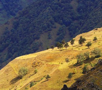 Золотой склон