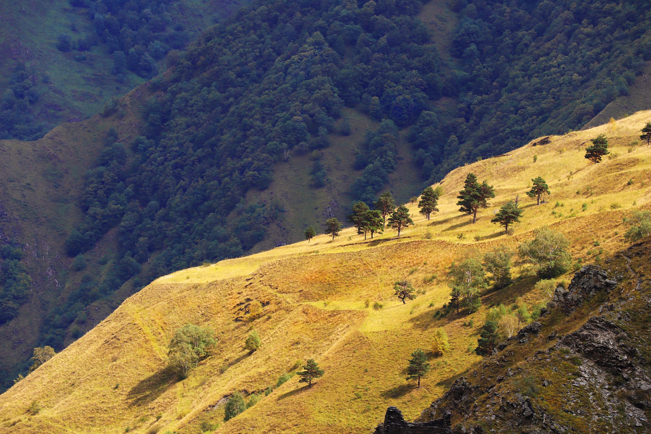 Золотой склон