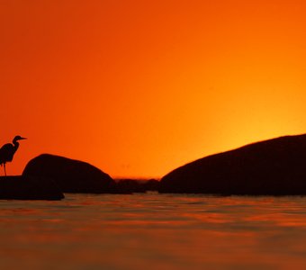 Театр теней