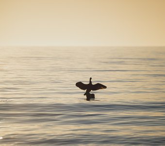 на одной волне