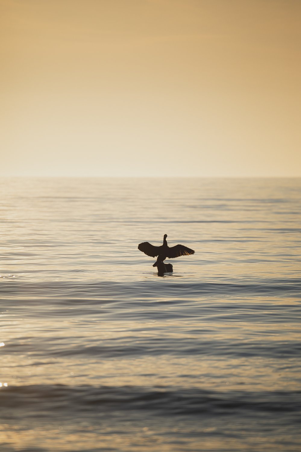 На одной волне