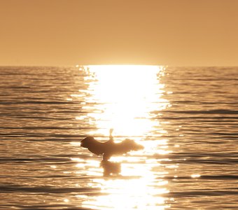 солнечные ванны