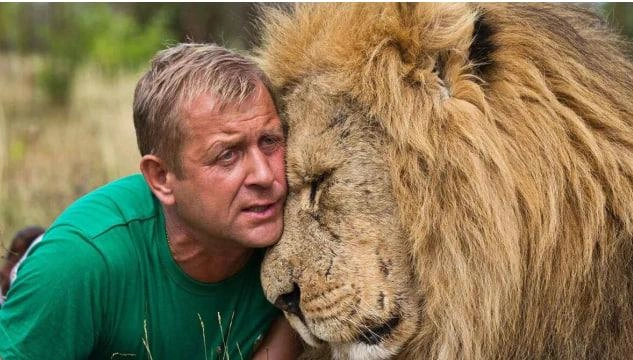 Льва, напавшего на владельца крымского сафари-парка, не будут усыплять