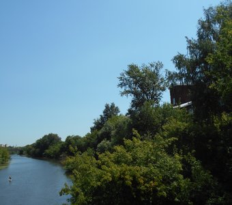 Зеленые деревья над рекой Нарой