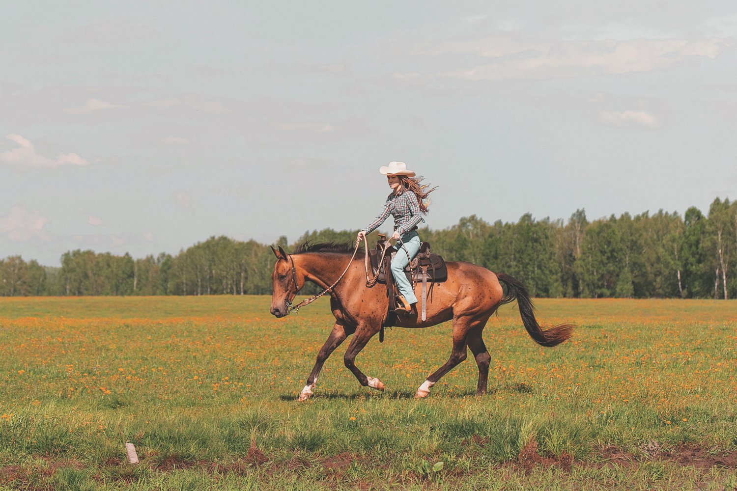 Фото: Конный клуб в хозяйстве «Хэппи Фарм»