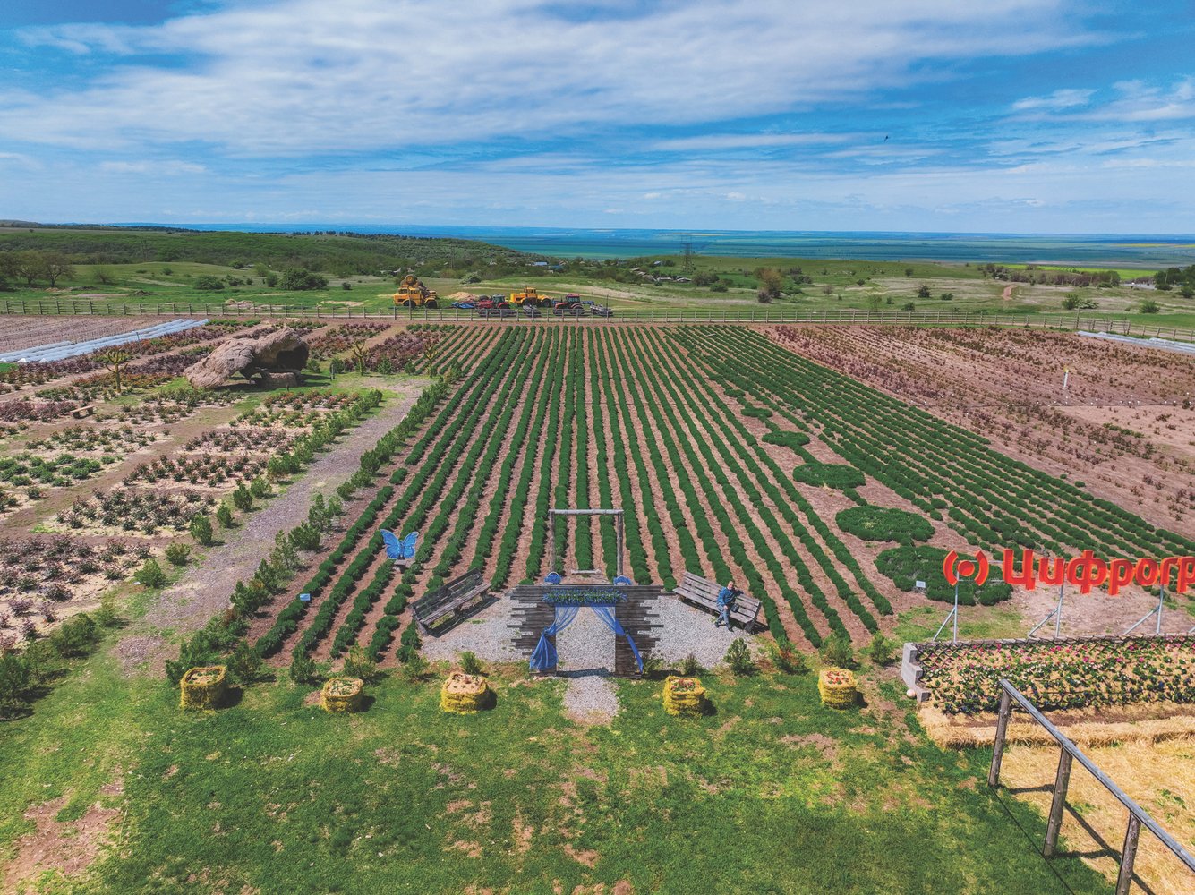 Фото: Поля на «Бахче Пономарёвых»