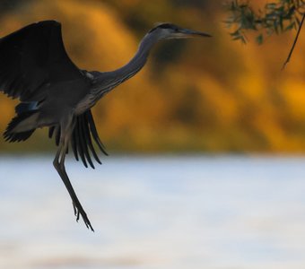 Вижу цель, не вижу препятствий