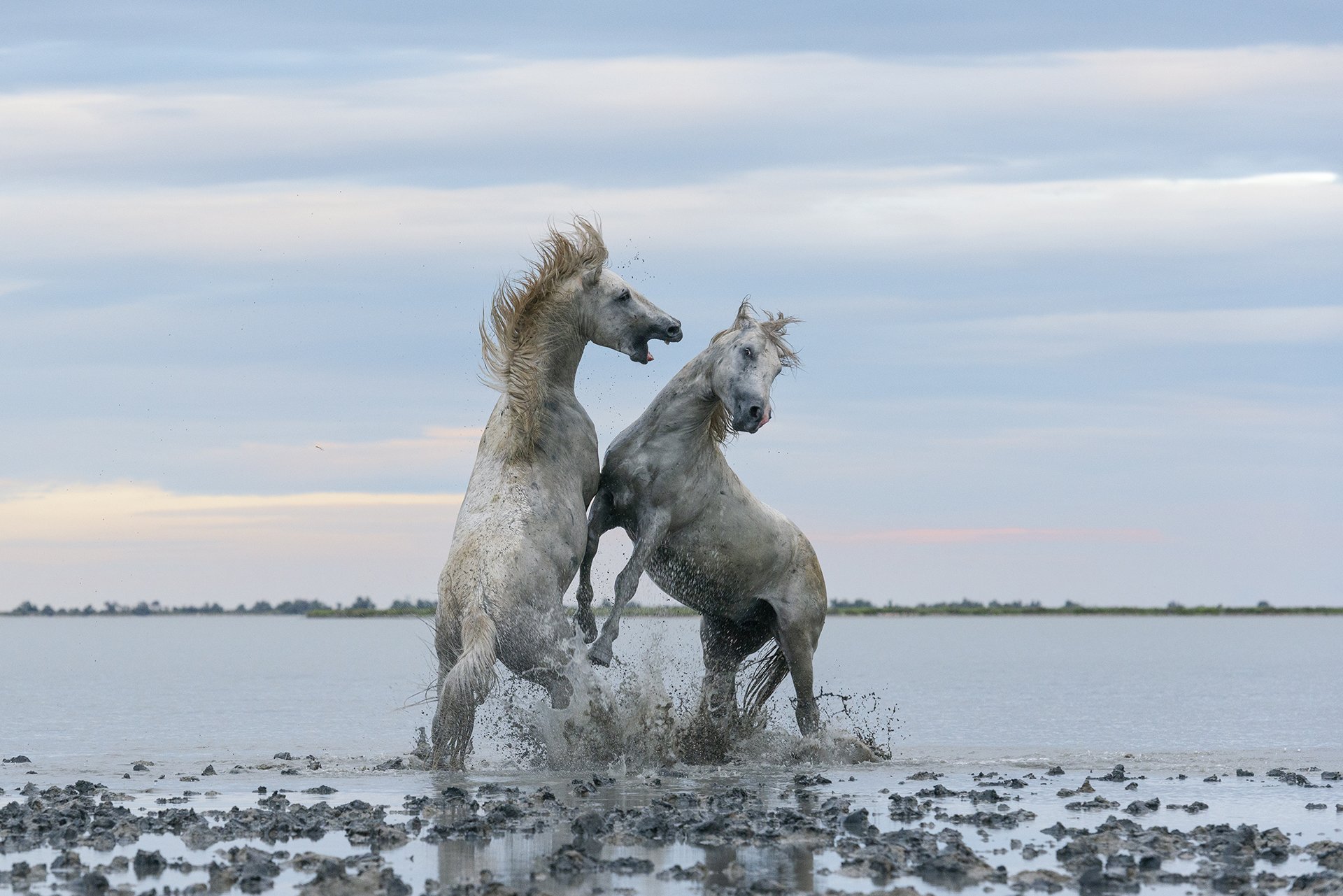 Битва титанов