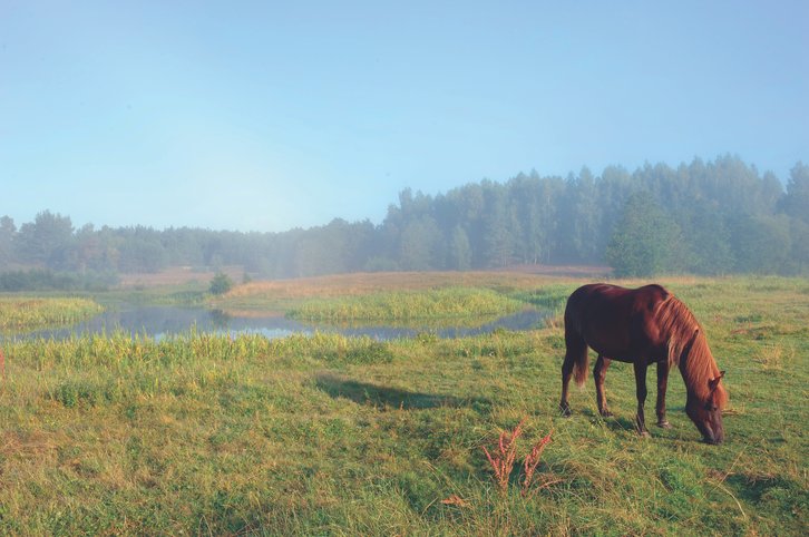 Фото: Национальное агентство по туризму Беларуси