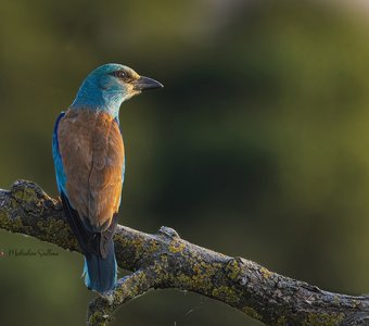 Встречаем рассвет.