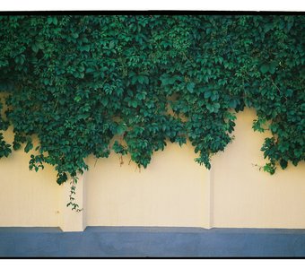 Fujifilm Superia Premium 400