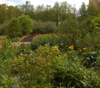 Зеленые дворы