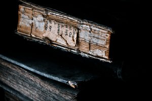 В Венгрии спасают тысячи древнейших книг от нашествия насекомых