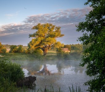 Утро на деревенском пруду