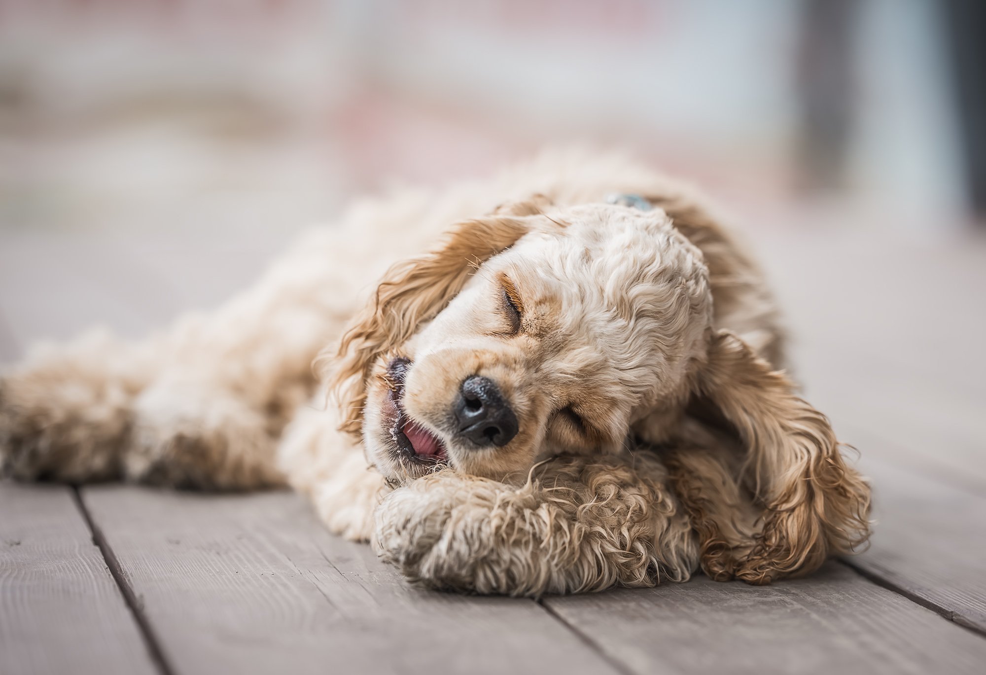 Услышал смешной анекдот