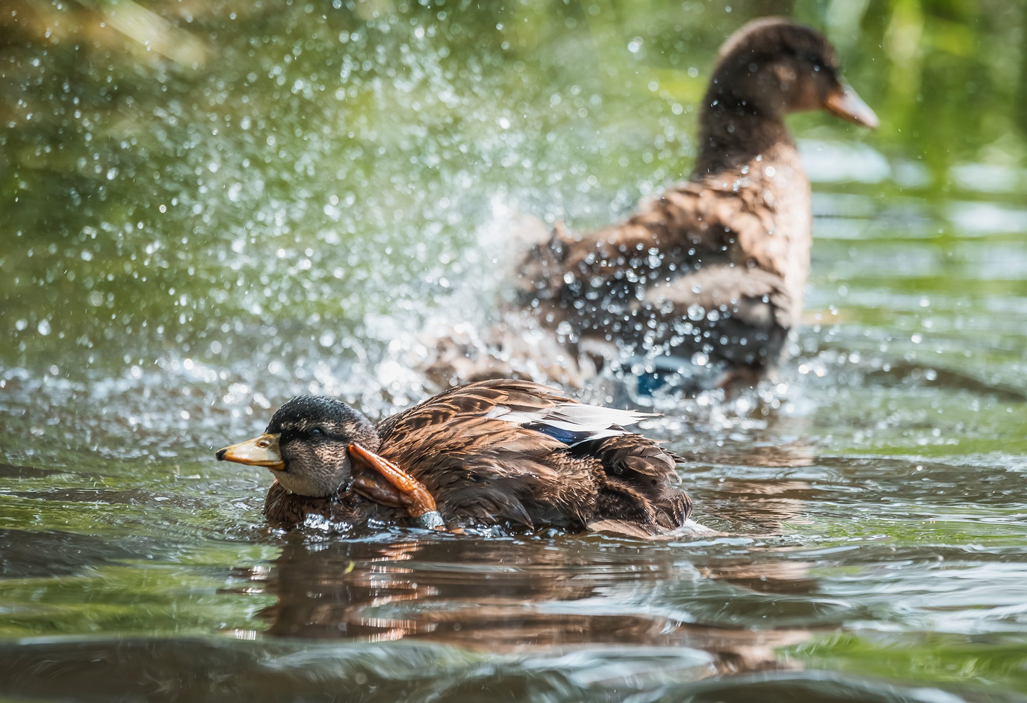 Докладываю, приказ выполнен!