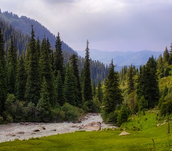 В ущелье Тургень