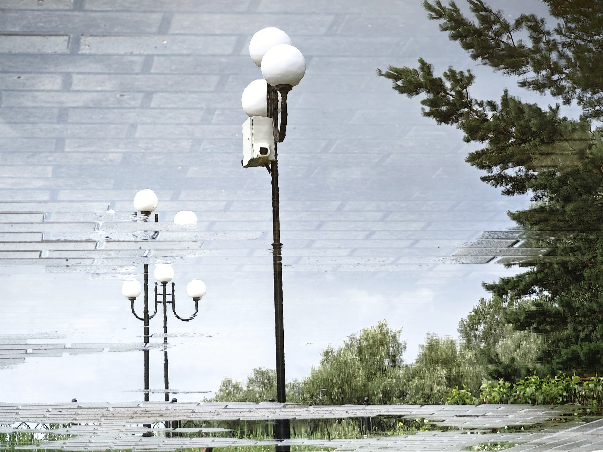 Отражение после дождя