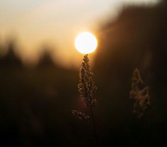 Игра с солнцем