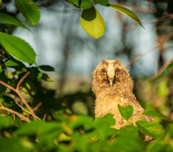 Фотография в рамочке
