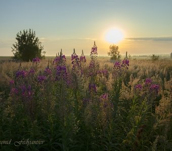 Степной рассвет
