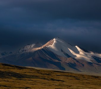 Нежность утра