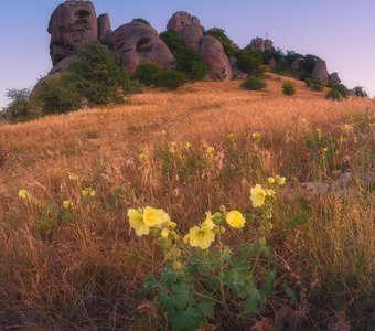 Утро у скалы Хой-Кая