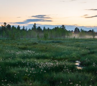 Летний вечер