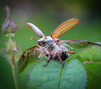 За секунду до взлета!