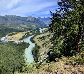 Слияние рек Коксу и Аргут