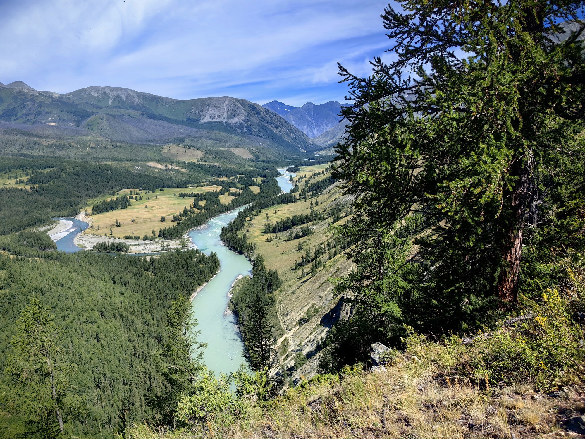 Слияние рек Коксу и Аргут