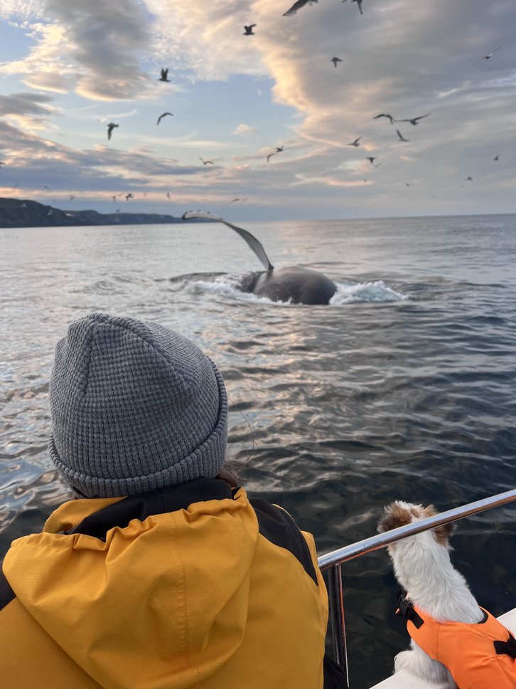 Фото: ИПЭЭ РАН Фонд «Природа и люди»
