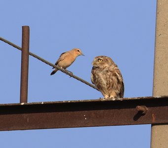 Деловая беседа..