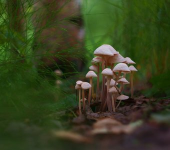 Группировка