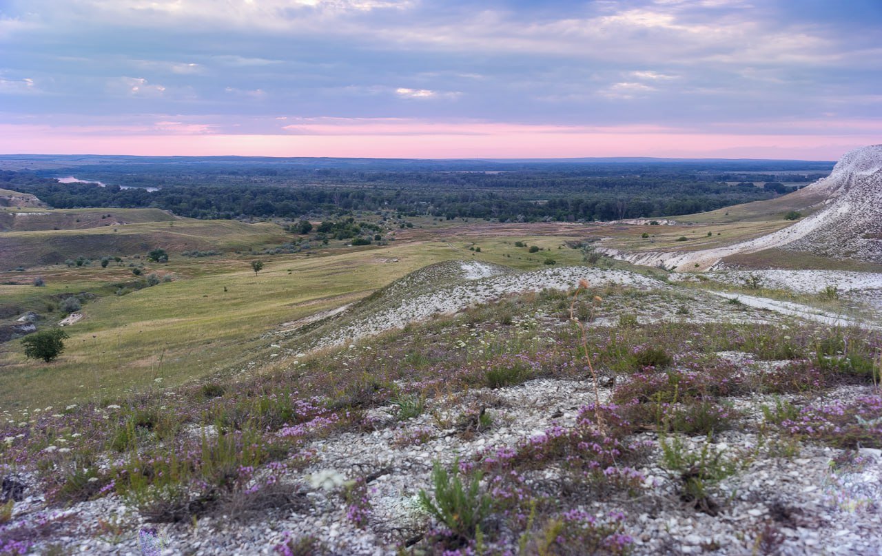 Чабрецовый закат