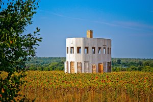 Солнце, гуси, одиночки: какие арт-кэмпы ждут нас на фестивале «Архстояние»