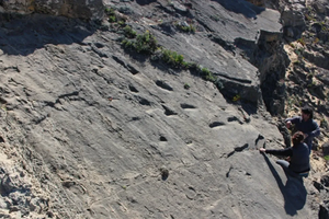 В Португалии нашли следы малыша-неандертальца