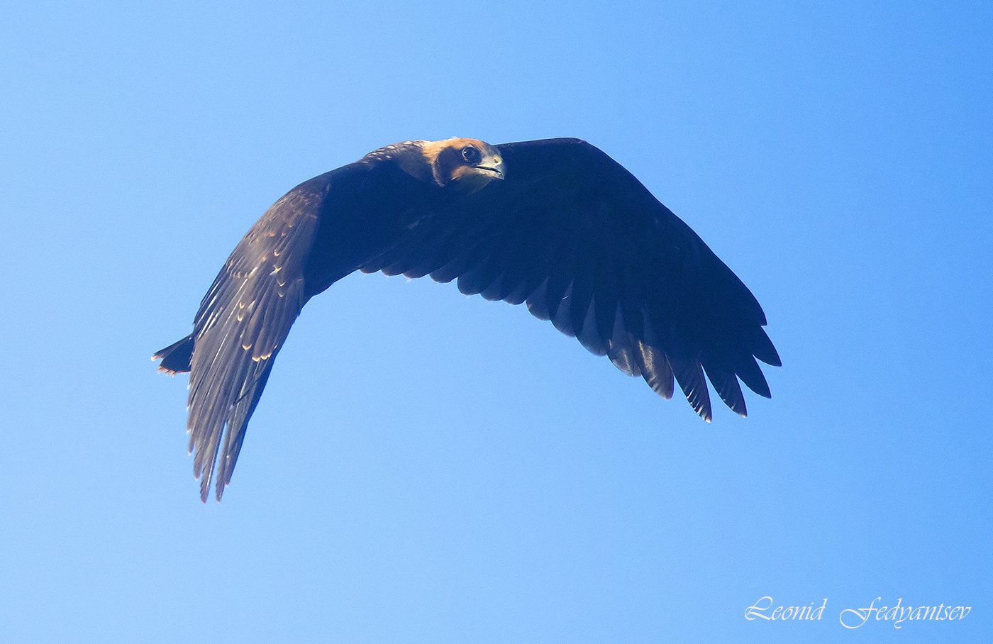 В поиске цели