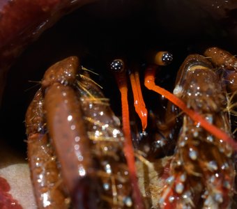 Просто космос